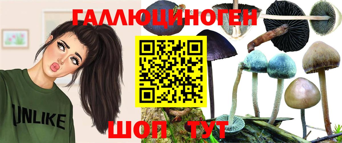 Галлюциногенные грибы прущие грибы Долгопрудный